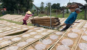 Làng nghề bánh tráng, trồng hoa hối hả vào vụ Tết