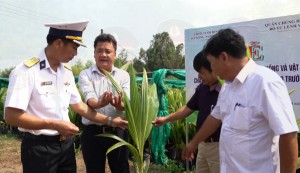 Vùng 4 Hải Quân tiếp nhận 15.000 cây dừa giống cho Chương trình “Xanh hóa Trường Sa”