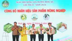 Hoài Ân (Bình Định): Khẳng định thương hiệu nông sản