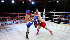 Giải vô địch trẻ kickboxing tỉnh Bình Định lần thứ 2 năm 2024: Thúc đẩy phát triển phong trào