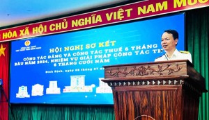 Bình Định thu ngân sách nhà nước 6 tháng đạt trên 50%