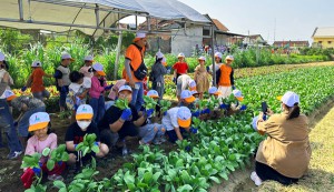 Làng rau Thuận Nghĩa - điểm đến hấp dẫn của du lịch nông nghiệp