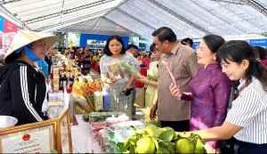 Bình Định: Hỗ trợ hội viên, phụ nữ khởi nghiệp, phát triển kinh tế