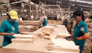 Bình Định chế biến, xuất khẩu gỗ gắn với chống mất rừng