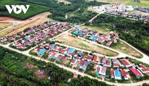 Tận dụng thế mạnh cây ăn quả, Bình Định tạo sinh kế tăng thu nhập cho người dân