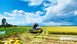 Bình Định: Tín dụng chính sách góp phần thúc đẩy giảm nghèo bền vững