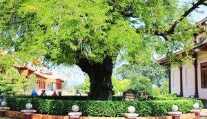 Nắng, mưa Bình Định