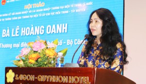 Chuyên gia ‘hiến kế’ liên kết vùng trong phát triển thương mại điện tử