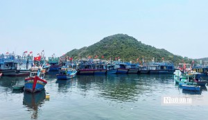 50 tỷ đồng mở rộng cảng cá Đề Gi kết hợp khu neo đậu tàu thuyền