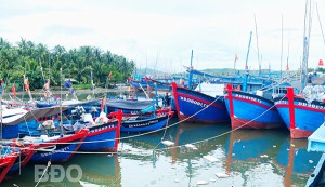 Hoài Nhơn chủ động ứng phó bão lũ