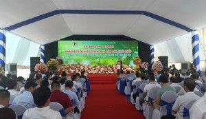 Bình Định khánh thành 2 nhà máy sản xuất viên nén và dăm gỗ xuất khẩu