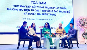 Thúc đẩy liên kết vùng trong phát triển thương mại điện tử
