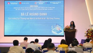 Bình Định mời loạt sàn thương mại điện tử lớn về hiến kế
