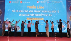 Bình Định: Hội thảo hướng dẫn, định hướng kết nối doanh nghiệp với các doanh nghiệp thương mại điện tử