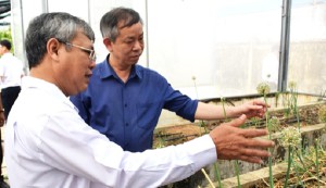 Bình Định: Tiến sĩ Hồ Huy Cường được vinh danh “Nhà khoa học của nhà nông” năm 2024